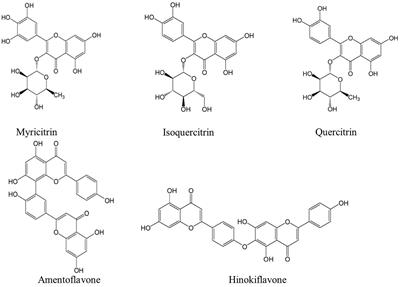 Simultaneous Extraction and Determination of Compounds With Different Polarities From Platycladi Cacumen by AQ C18-Based Vortex-Homogenized Matrix Solid-Phase Dispersion With Ionic Liquid